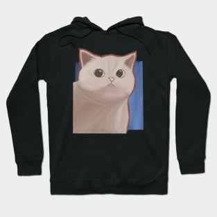 Moody Cat Hoodie